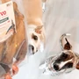 Kép 2/2 - KIVO Szárított marhafül, 5 db-os kiszerelés