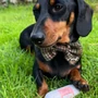 Kép 3/3 - 100% kacsa húsrolád 200 g, JR Pet Products
