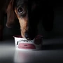 Kép 4/5 - Yogupet Laktózmentes Joghurt Kutyáknak - Chia maggal 110g
