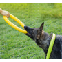 Kép 2/4 - Edzőgyűrű kutyáknak, narancssárga