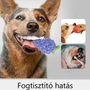 Kép 5/6 - Sípoló eper kutyajáték, 10 cm