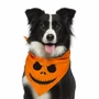 Kép 1/5 - Halloweeni kisállatkendő kutyáknak és macskáknak