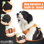 Kép 3/6 - Húzásmentes kutyahám beépített visszahúzódó pórázzal, narancssárga M-es