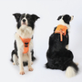 Kép 5/6 - Húzásmentes kutyahám beépített visszahúzódó pórázzal, narancssárga M-es