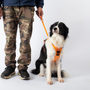 Kép 6/6 - Húzásmentes kutyahám beépített visszahúzódó pórázzal, narancssárga M-es