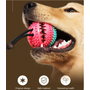 Kép 9/9 - Multifunkciós fogtisztítós készségfejlesztő játék tapadókoronggal, kutyáknak
