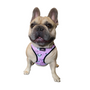 Kép 2/2 - Pandás komfort kutyahám, 5-10 kg-os kutyáknak, rózsaszín