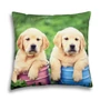 Kép 1/2 - Golden retriver kölykök mintás párna, 45 x 45 cm