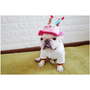 Kép 2/5 - Születésnapi kutyafejfedő, állítható nyakrésszel