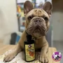Kép 2/2 - 100 % Prémium Vadlazacolaj, hidegen sajtolt, nyers, magas omega 3 tartalommal, 250 ml, HAPPY BULLDOG