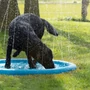 Kép 3/4 - CoolPets Splash spriccelő hűsítő matrac kutyáknak – S méret, 100 cm átmérő
