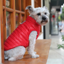 Kép 5/5 - Vízálló, szőrmentes kutyakabát, piros, XL-es (francia bulldog méret)