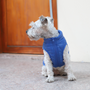 Kép 3/4 - Vízálló, szőrmentes kutyakabát, kék, XS-es