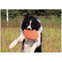 Kép 3/6 - Happy Bulldog színes gumi frizbi kutyáknak, narancssárga