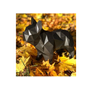 Kép 3/8 - 3D Francia bulldog papírszobor készítő készlet, fekete