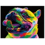 Kép 1/7 - Szivárvány bulldog számfestő készlet