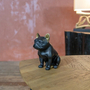 Kép 1/3 - Fekete francia bulldog szobor, arany fülekkel