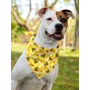 Kép 3/4 - HappyBulldog Méhecskés kutyakendő