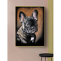 Kép 1/3 - Elegáns fekete francia bulldog fali kép 30x40 cm