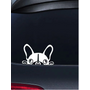 Kép 1/3 - Francia bulldog autómatrica, fehér