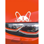 Kép 3/3 - Francia bulldog autómatrica, fehér