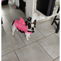 Kép 4/6 - Cápauszonyos mentőmellény kutyák számára L-es (20-28 kg), rózsaszín