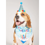 Kép 2/5 - Születésnapi ajándékcsomag FIÚ kutyáknak