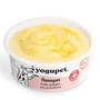 Kép 2/2 - Yogupet Functional Joghurt Flamapet - Bőr, Szőr és Emésztés Támogató Kurkumával, Mézzel és Kollagénnel