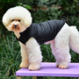 Kép 1/2 - Petsoo kutyamellény vékony testű kutyáknak, fekete, M-es