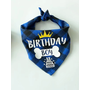 Kép 1/5 - "Birthday boy" születésnapi kutyakendő