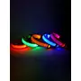 Kép 2/4 - Világító éjszakai LED kutya nyakörv, kék, M