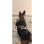 Kép 6/7 - "I am perfect" poliészter kutyaruha, fekete, XL-es