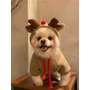 Kép 5/6 - Rénszarvasos karácsonyi pulcsi kisállatoknak, XL-es (francia bulldog méret)