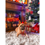 Kép 3/6 - Rénszarvasos karácsonyi pulcsi kisállatoknak, XL-es (francia bulldog méret)