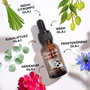 Kép 4/4 - Tickless® Herbal Shield Spot-on - 100% természetes illóolaj keverék kutyáknak
